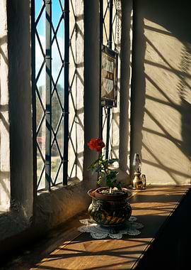 Rose on a windowsill