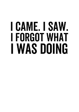 I Came I Saw I Forgot What