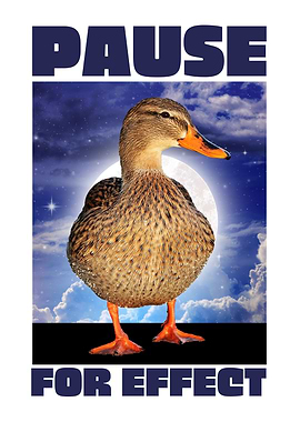 duck Pause for effect