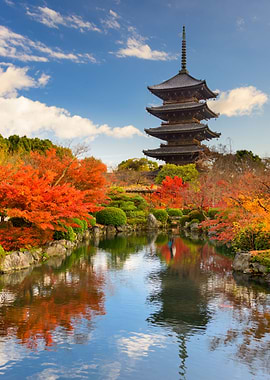 Kyoto autumn leaves