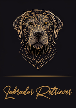 Elegant Labrador Retriever