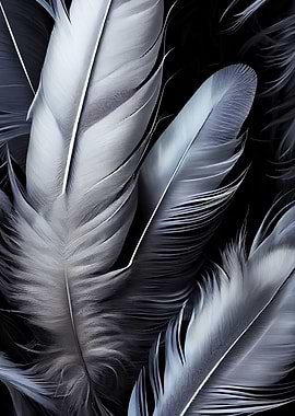 Feathers