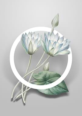 Egyptian Lotus Flower Art