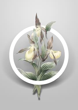 Sabot des Alpes Flower Art