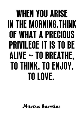 Marcus Aurelius Quote