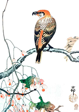 Crossbill on tree branch