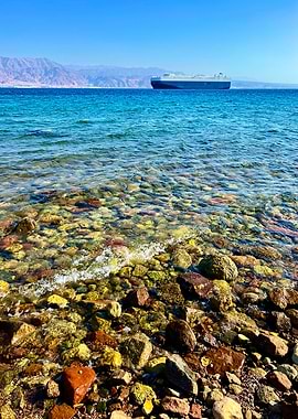 Red Sea Shores