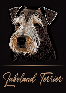 Lakeland Terrier