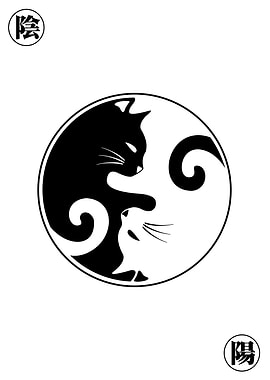 cat yin yan