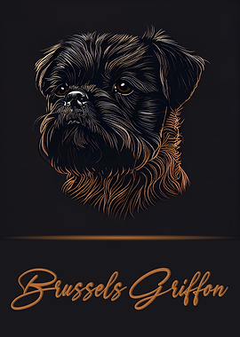 Brussels Griffon