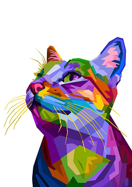 Colorful cat