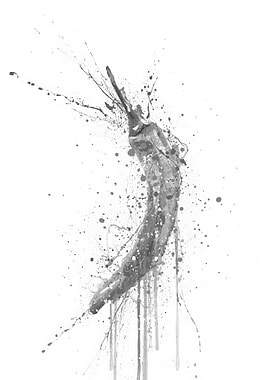 Watercolor Grey Chilli