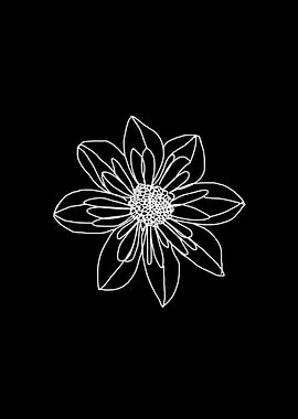Dahlia Flower White Line