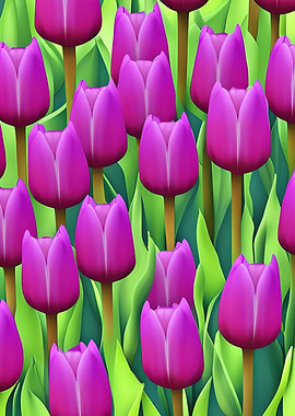 Plant Flowers Tulip