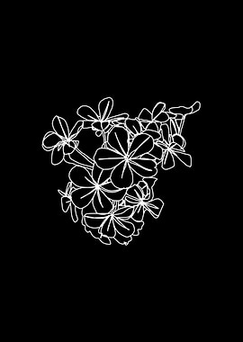 Little Flowers White Line