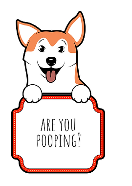 DOGGY ARE YOU POOPING