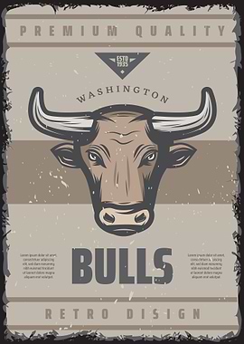 Retro Bulls