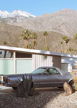 Vintage Palm Springs Views