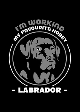 Labrador