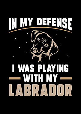 Labrador