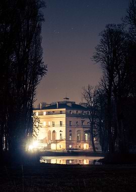 Castle under the night