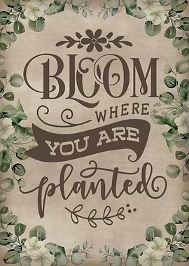 Bloom where you are plant