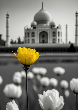 Yellow Flower Taj Mahal