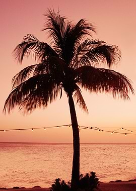 Vivid Palm Tree Dream 4