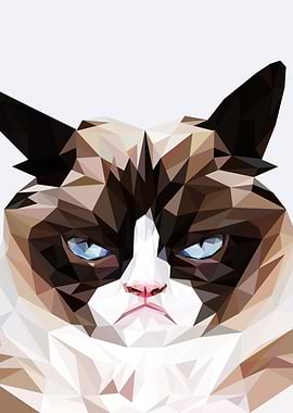 grumpt cat