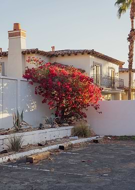 Palm Springs Sunrise