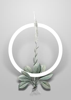 Blazing Star Flower Circle