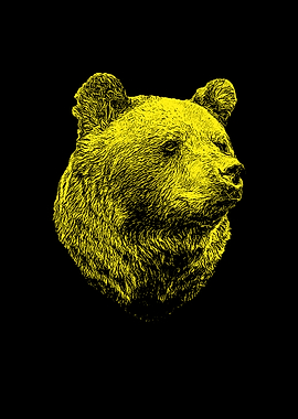 Bear portrait