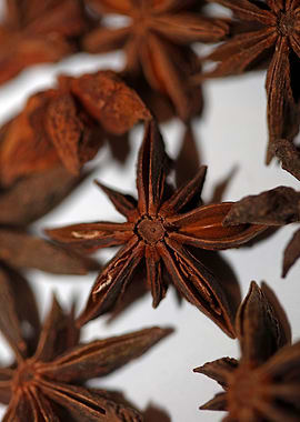 Star anise fruit close up