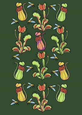 Carnivorous Plants Venus