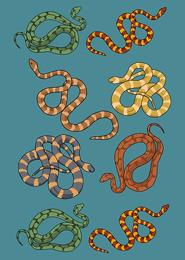 Snake Owner Gift Kids