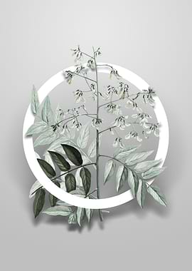 Japanese Pagoda Tree Art