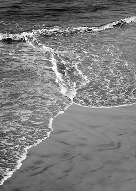 Atlantic Ocean Beauty BW 3