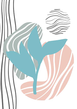 Jojoba Minimalist Decor