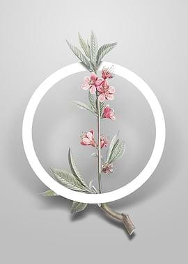 Pink Flower Branch Flower