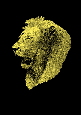 Lion portrait