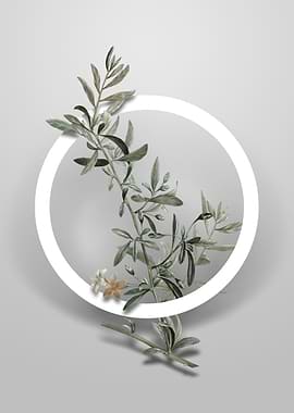 Goji Berry Branch Flower