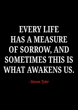 Steven Tyler quotes