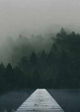 Footbridge In The Forest