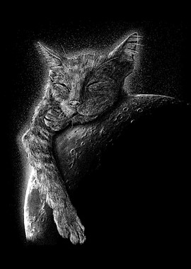 Cat Sleeping on the Moon