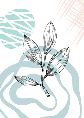 Jojoba Minimalist Decor