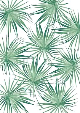Dushi Fan Palm Bliss 4