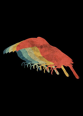 Toucan Retro Vintage Color