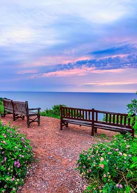 Coastal landscape sunset