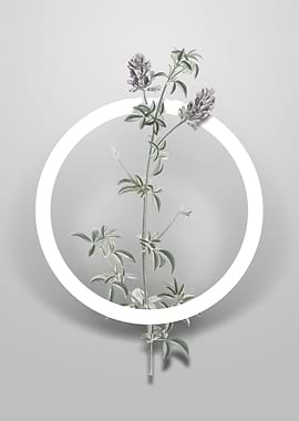 Spanish Clover Bloom Art