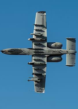 A10 Belly